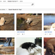 Illustration for article titled You Can Now Search Through Facebook Photos on Bing